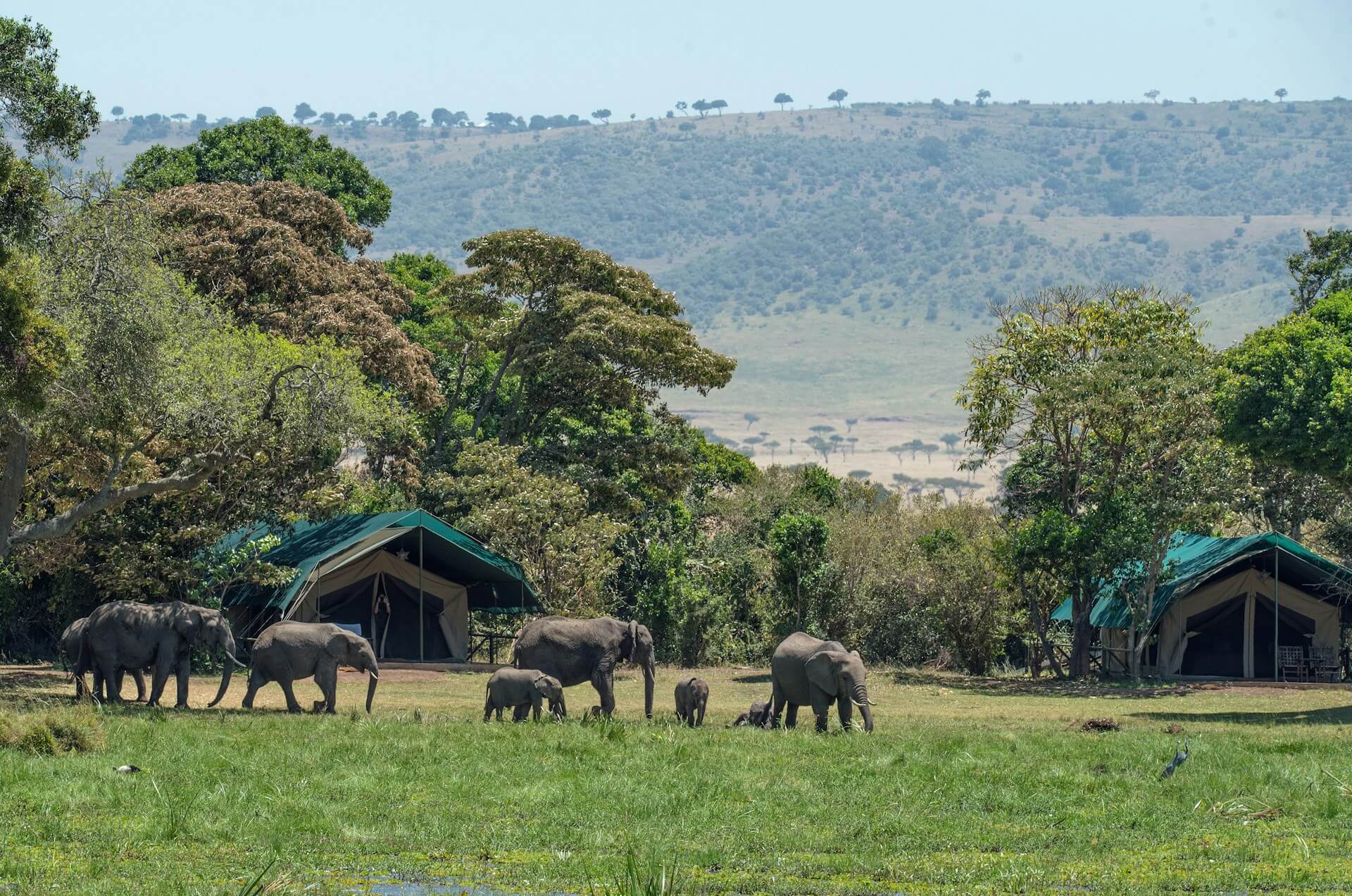 Bush Camp Experience