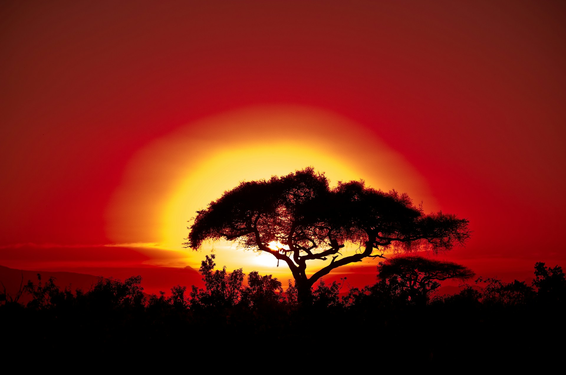Sunset Drive